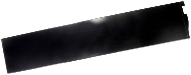 Dorman - OE Solutions Door Applique 926-244