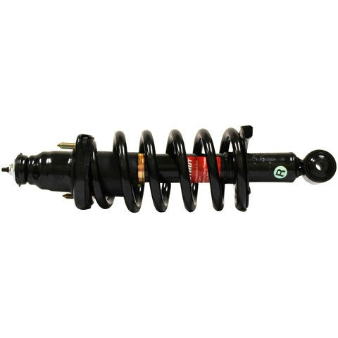 Monroe Shocks & Struts Suspension Strut and Coil Spring Assembly 171114R