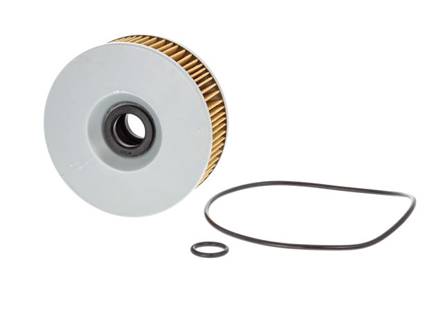 FRAM Engine Oil Filter CH6002