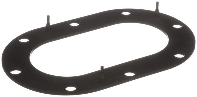Delphi Fuel Pump Tank Seal FA10033