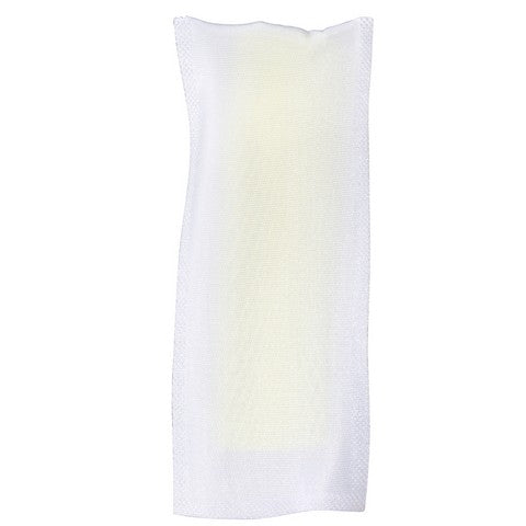 Delphi Fuel Pump Strainer FS0197