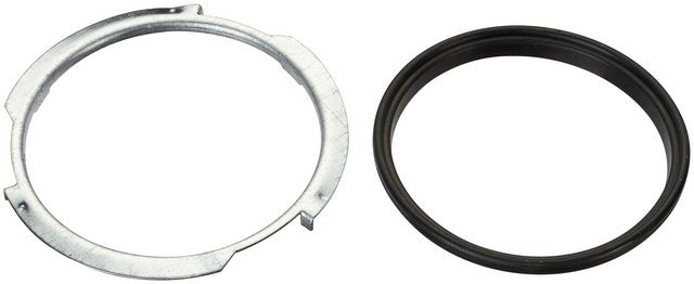 Spectra Premium Fuel Tank Lock Ring LO20