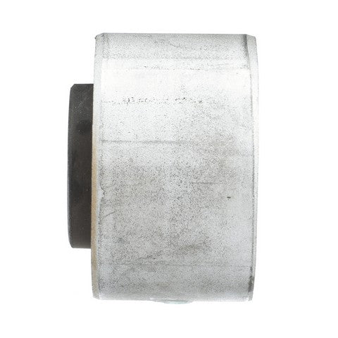 Delphi Suspension Subframe Bushing TD1658W