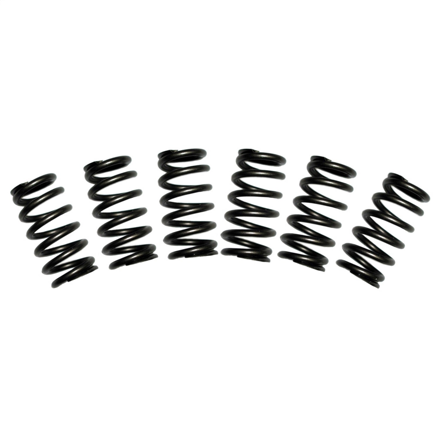 BD Diesel 1030060 Valve Spring Kit