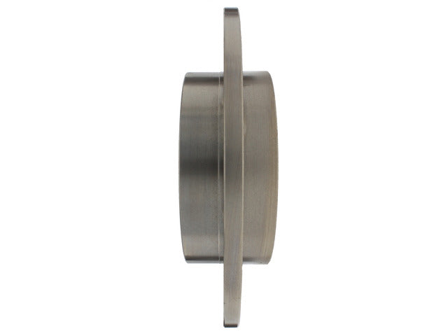 Centric Parts Disc Brake Rotor  120.39022