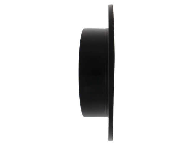 Centric Parts Disc Brake Rotor  120.44134