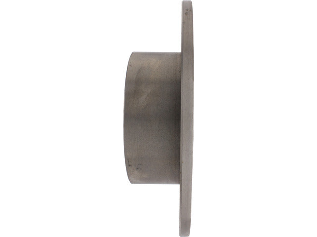 Centric Parts Disc Brake Rotor  121.38001