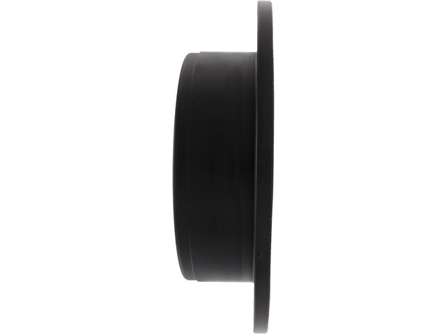 Centric Parts Disc Brake Rotor  121.49002