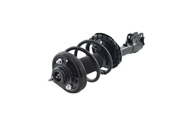 Focus Auto Parts Suspension Strut and Coil Spring Assembly  1331671L