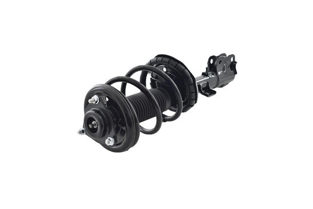 Focus Auto Parts Suspension Strut and Coil Spring Assembly  1331671R