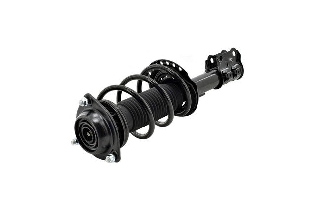 Focus Auto Parts Suspension Strut and Coil Spring Assembly  1333386R