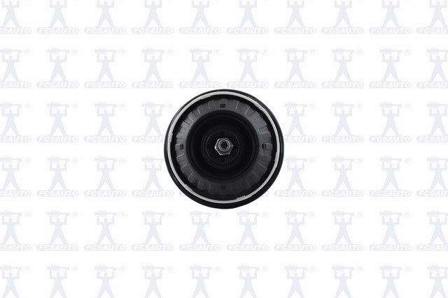 Focus Auto Parts Suspension Strut and Coil Spring Assembly  1333440L