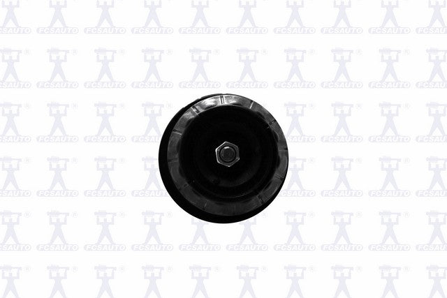 Focus Auto Parts Suspension Strut and Coil Spring Assembly  1334319L