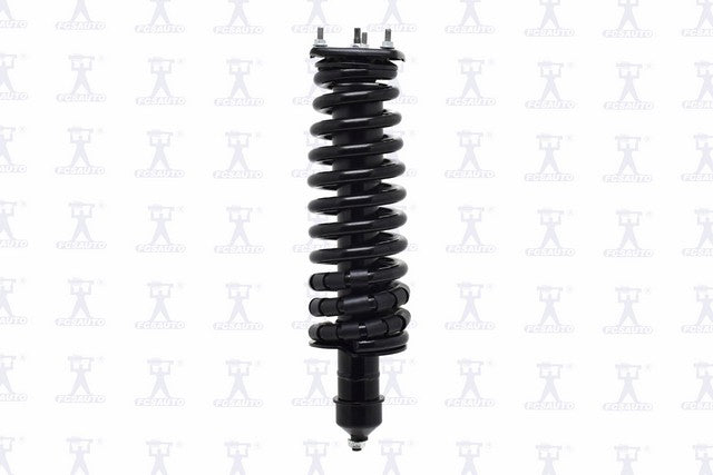 Focus Auto Parts Suspension Strut and Coil Spring Assembly  1335793