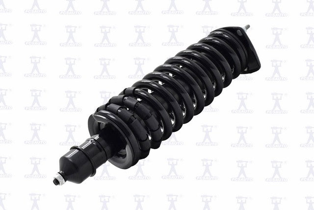 Focus Auto Parts Suspension Strut and Coil Spring Assembly  1335793