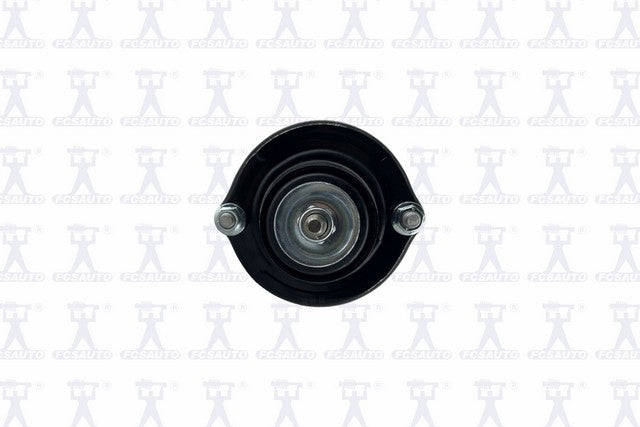 Focus Auto Parts Suspension Strut and Coil Spring Assembly  1336319L