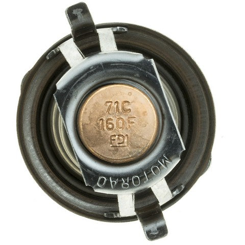 https://www.ShowMeThePartsdb.com/bin/images/MotoRad/207-160_BOTTOM.JPG