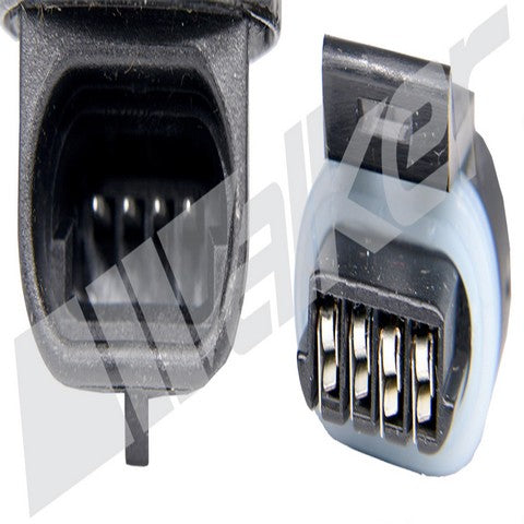 https://www.ShowMeThePartsdb.com/bin/images/WalkerProducts/215-91038_3.jpg