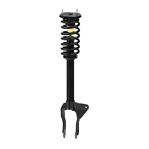 Monroe Shocks & Struts Suspension Strut and Coil Spring Assembly  173077