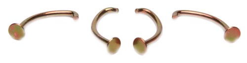 Raybestos Brakes Drum Brake Shoe Spring Hold Down Pin  H1119