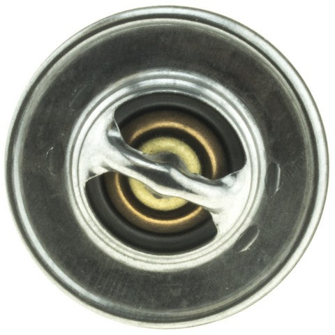 https://www.ShowMeThePartsdb.com/bin/images/MotoRad/229-195_TOP.jpg
