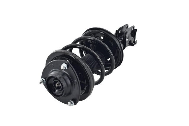 Focus Auto Parts Suspension Strut and Coil Spring Assembly  2331659L
