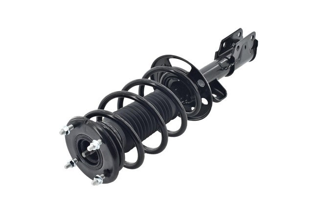 Focus Auto Parts Suspension Strut and Coil Spring Assembly  2333451R