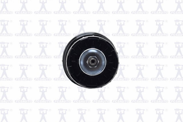 Focus Auto Parts Suspension Strut and Coil Spring Assembly  2333514R