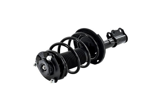 Focus Auto Parts Suspension Strut and Coil Spring Assembly  2333817L