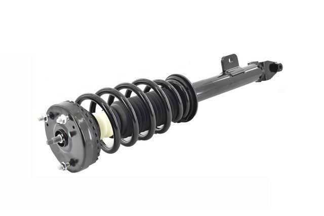 Focus Auto Parts Suspension Strut and Coil Spring Assembly  2335531L