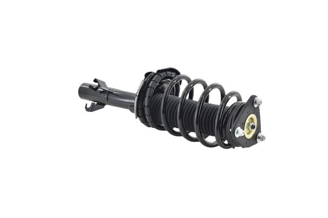 Focus Auto Parts Suspension Strut and Coil Spring Assembly  2336311R