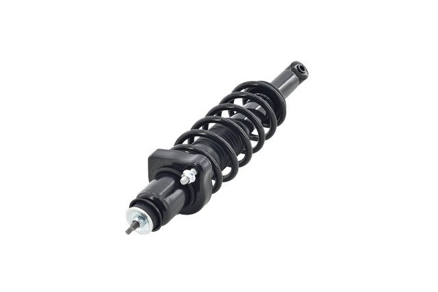 Focus Auto Parts Suspension Strut and Coil Spring Assembly  2345484