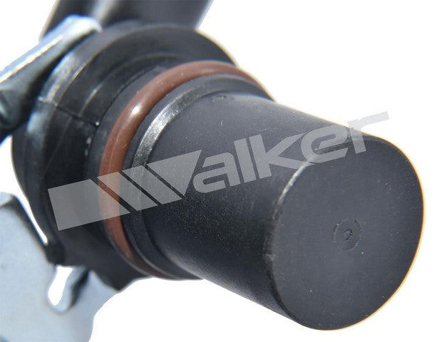 https://www.ShowMeThePartsdb.com/bin/images/WalkerProducts/240-1019_4.jpg