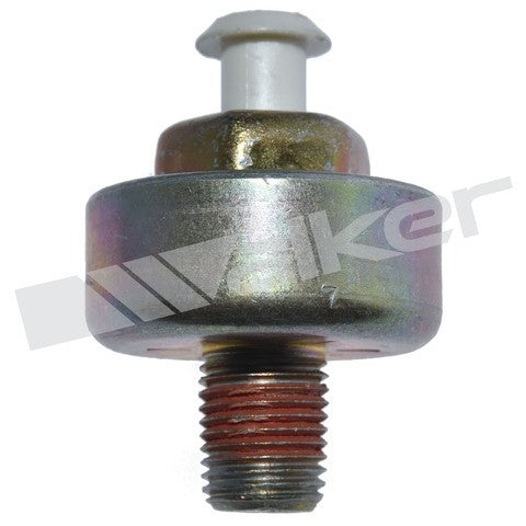 https://www.ShowMeThePartsdb.com/bin/images/WalkerProducts/242-1022_4.jpg