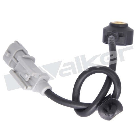 https://www.ShowMeThePartsdb.com/bin/images/WalkerProducts/242-1093_2.jpg