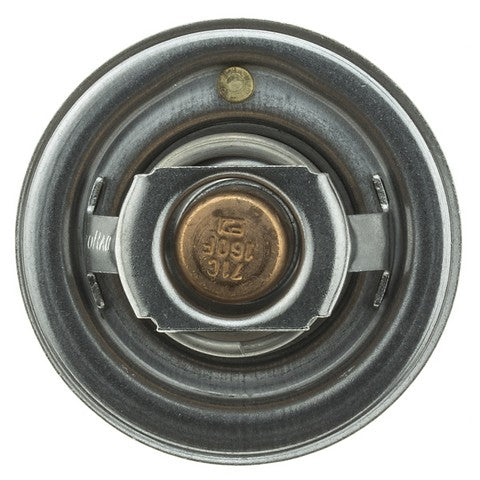 Motorad Engine Coolant Thermostat  244-160