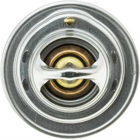 https://www.ShowMeThePartsdb.com/bin/images/MotoRad/244-160_TOP.JPG
