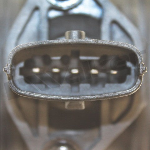 https://www.ShowMeThePartsdb.com/bin/images/WalkerProducts/245-1092_3.JPG