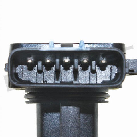https://www.ShowMeThePartsdb.com/bin/images/WalkerProducts/245-1095_3.JPG