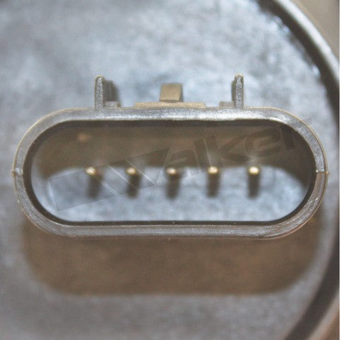 https://www.ShowMeThePartsdb.com/bin/images/WalkerProducts/245-1229_3.jpg
