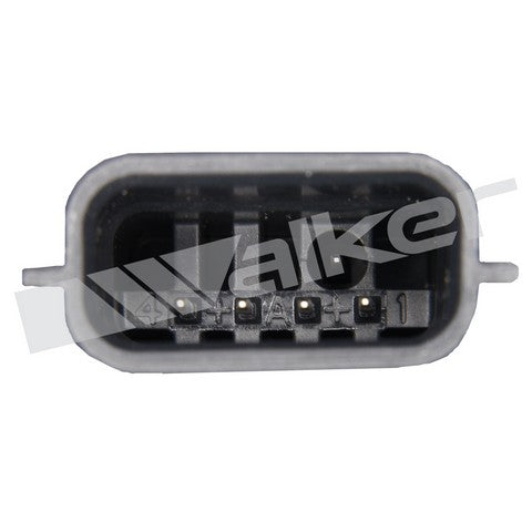 https://www.ShowMeThePartsdb.com/bin/images/WalkerProducts/245-1573_3.jpg