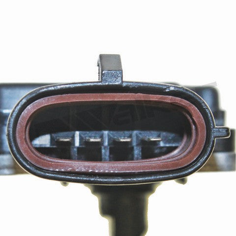 https://www.ShowMeThePartsdb.com/bin/images/WalkerProducts/245-2033_3.jpg