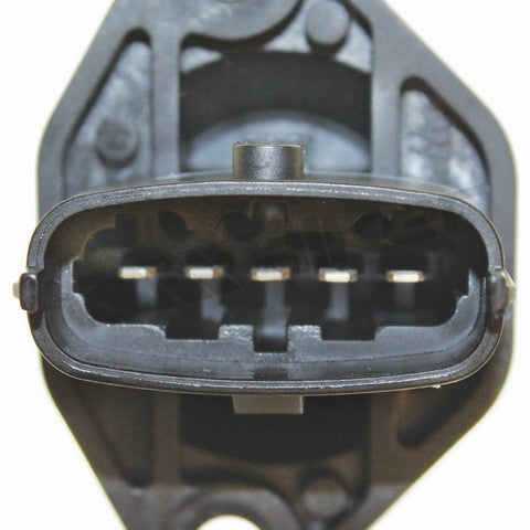 https://www.ShowMeThePartsdb.com/bin/images/WalkerProducts/245-2144_3.jpg