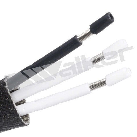Walker Products   250-23000