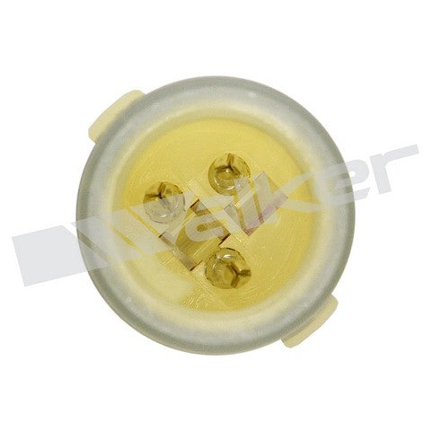 https://www.ShowMeThePartsdb.com/bin/images/WalkerProducts/250-23802_3.jpg