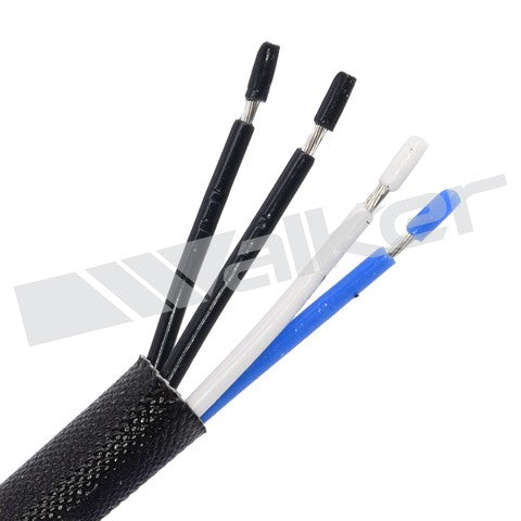 https://www.ShowMeThePartsdb.com/bin/images/WalkerProducts/250-24000_3.jpg