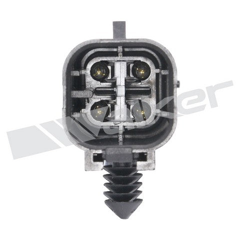 https://www.ShowMeThePartsdb.com/bin/images/WalkerProducts/250-24003_3.jpg