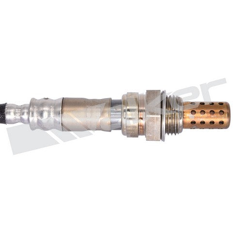 Walker Products Oxygen Sensor  250-24012
