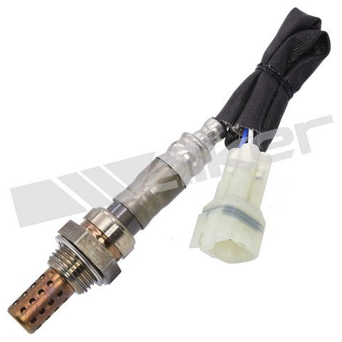 Walker Products Oxygen Sensor  250-24049