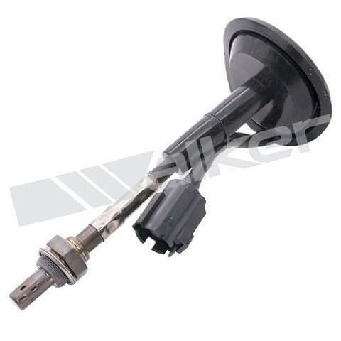 Walker Products Oxygen Sensor  250-24081